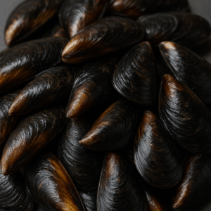 Mejillón Gallego de Ría (Extra Fresco)