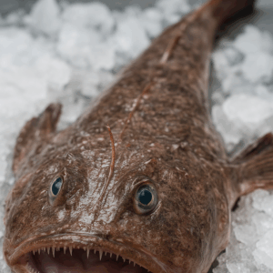Rape de Pescadería Premium